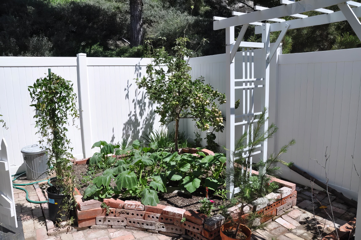 Dream Veggie Garden 14