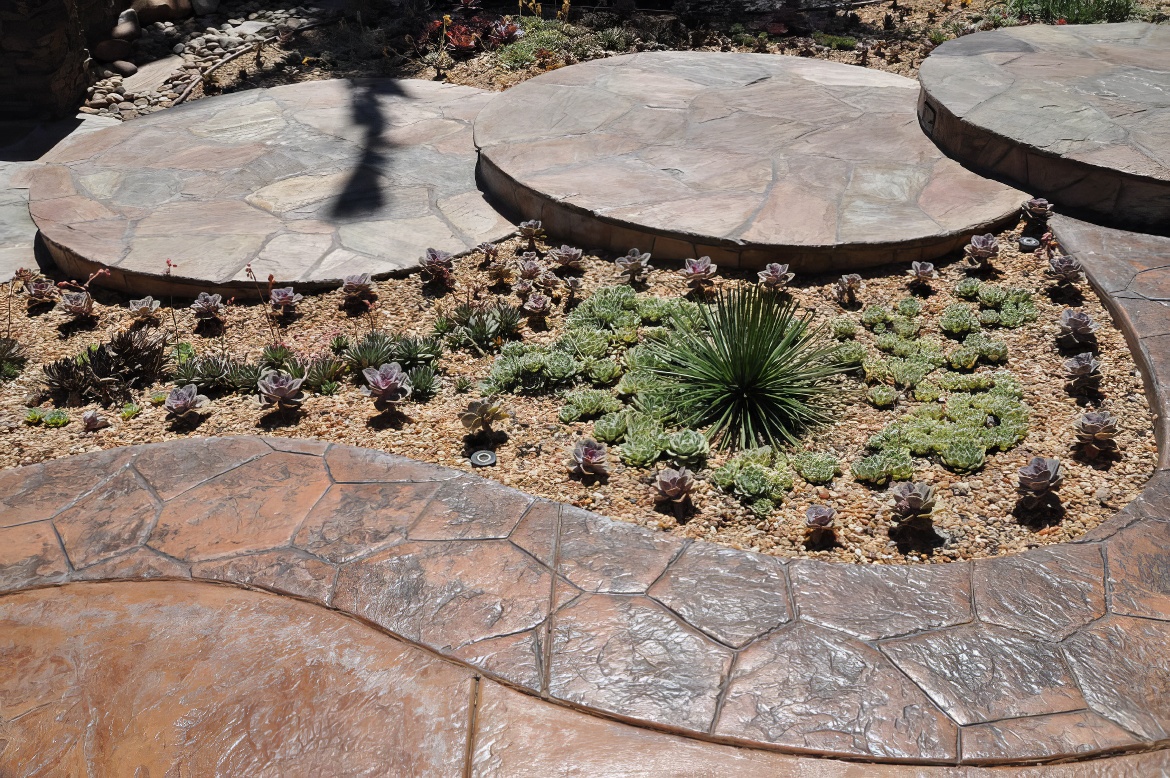 Succulent Entry Garden 7