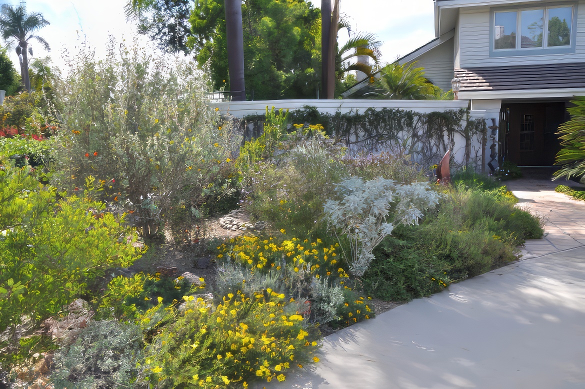 Side Yard California Friendly