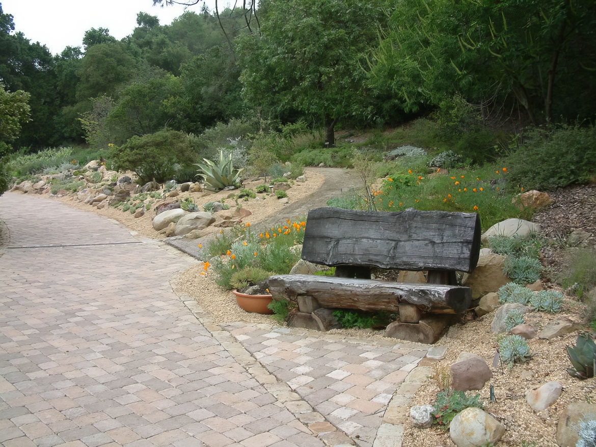 Santa Barbara Botanic Garden: Bench