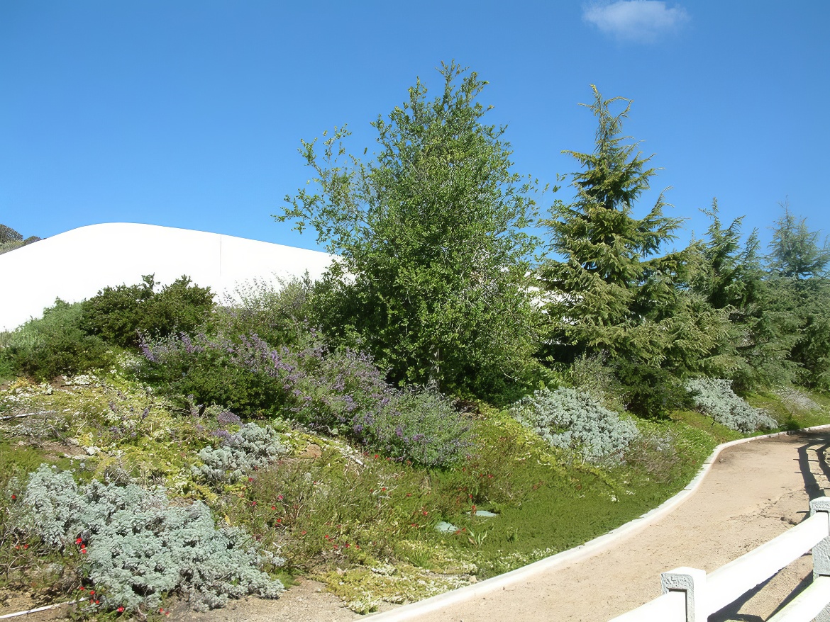 Forested and Meadowed Hillside