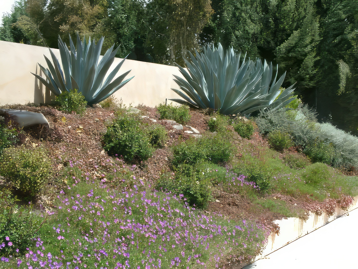 Desert Drama on the Hillside