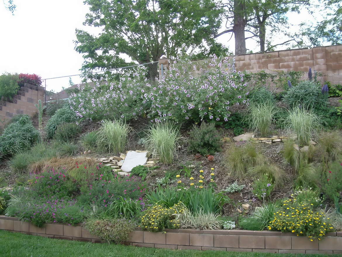 Hillside Variety