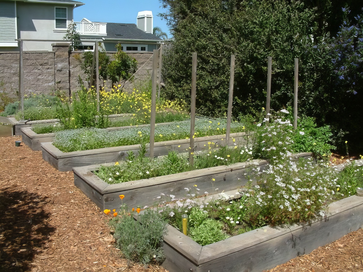 Raised Garden Beds