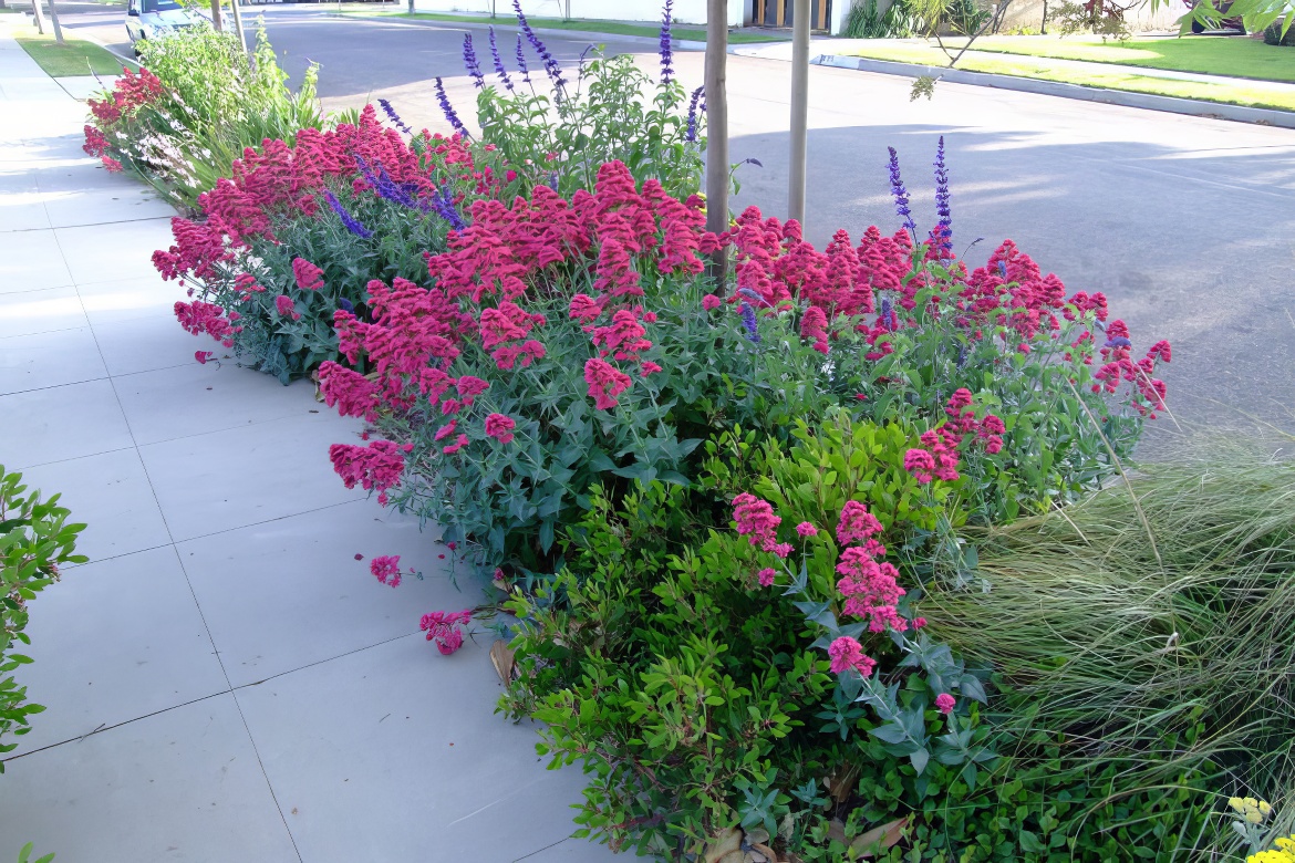 Spring Themed Parking Strip