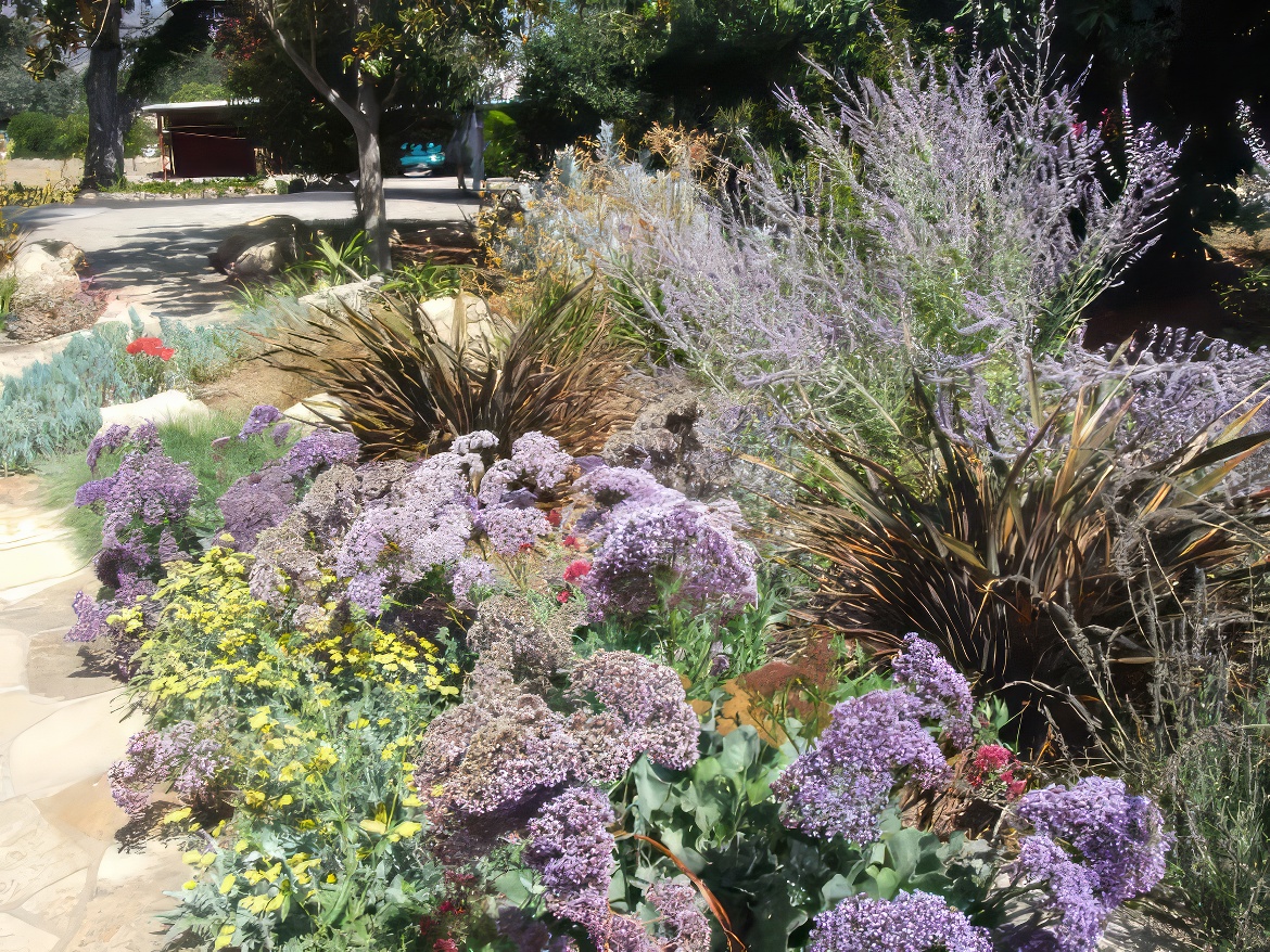 Sea Lavender Border